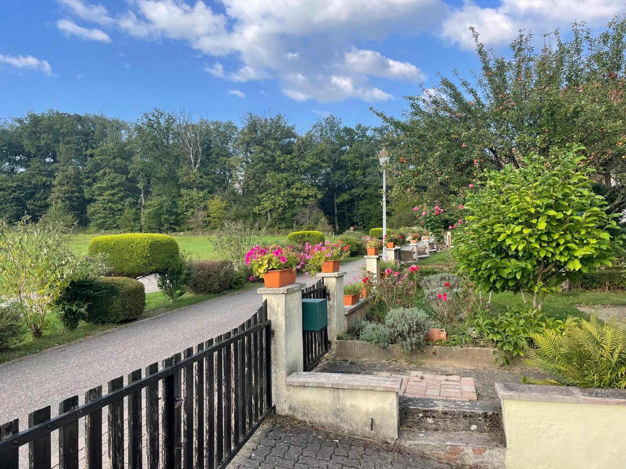 La Maison Des Roses Drachenbronn-Birlenbach Exterior photo
