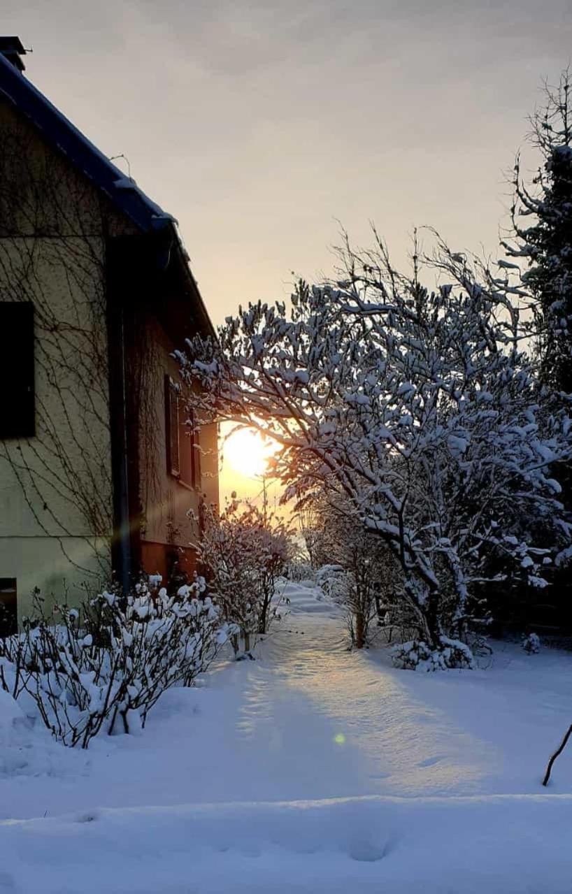 La Maison Des Roses Drachenbronn-Birlenbach Exterior photo